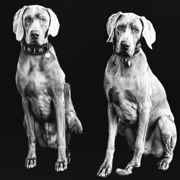 🤘💀❤️‍🔥Welcome to Daggerdigs - Picture 7 of 7